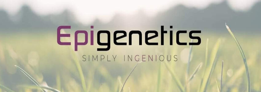 epigenetics at sole space grangebellew